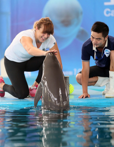 不同含义权 不同含义权